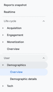 GA4 demographics tab.