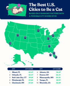 U.S. map showing the best cities to be a cat 