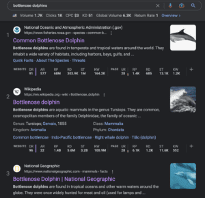 The search results of the keyword "bottlenose dolphins".